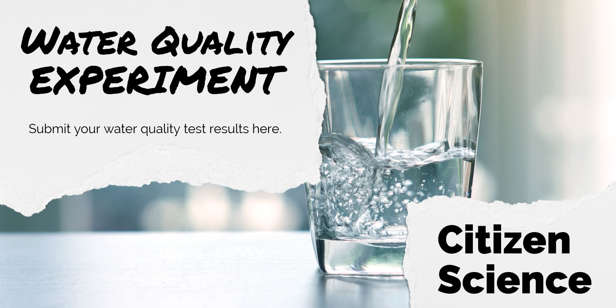 Citizen Science Experiment. Water Quality testing.